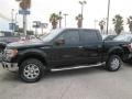 Tuxedo Black - F150 XLT SuperCrew 4x4 Photo No. 1