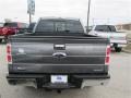 2014 Sterling Grey Ford F150 XLT SuperCrew 4x4  photo #4