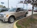 Pale Adobe - F150 XLT SuperCrew Photo No. 1