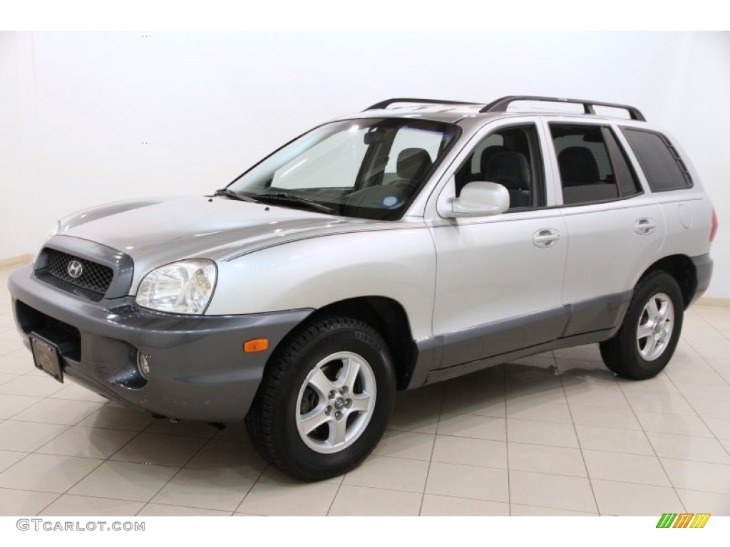 Pewter 2004 Hyundai Santa Fe GLS Exterior Photo #91101144