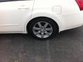Winter Frost Pearl - Maxima 3.5 SL Photo No. 7