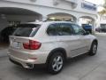 Orion Silver Metallic - X5 xDrive 50i Photo No. 2