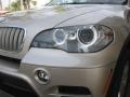 Orion Silver Metallic - X5 xDrive 50i Photo No. 23