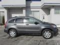 Polished Metal Metallic - CR-V SE 4WD Photo No. 2