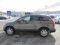 Polished Metal Metallic - CR-V SE 4WD Photo No. 6