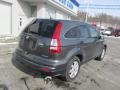 Polished Metal Metallic - CR-V SE 4WD Photo No. 9