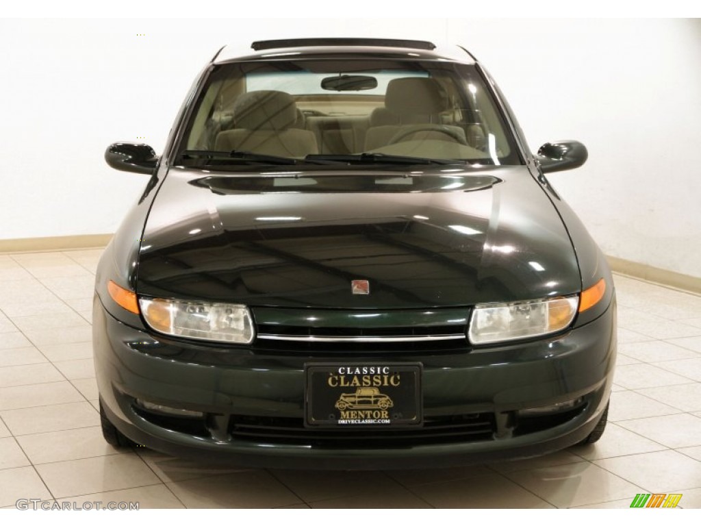 2002 L Series L300 Sedan - Green / Medium Tan photo #2