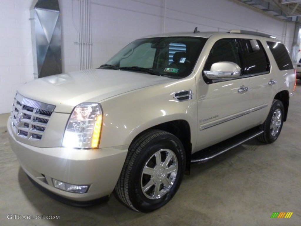 Gold Mist 2009 Cadillac Escalade AWD Exterior Photo #91123631