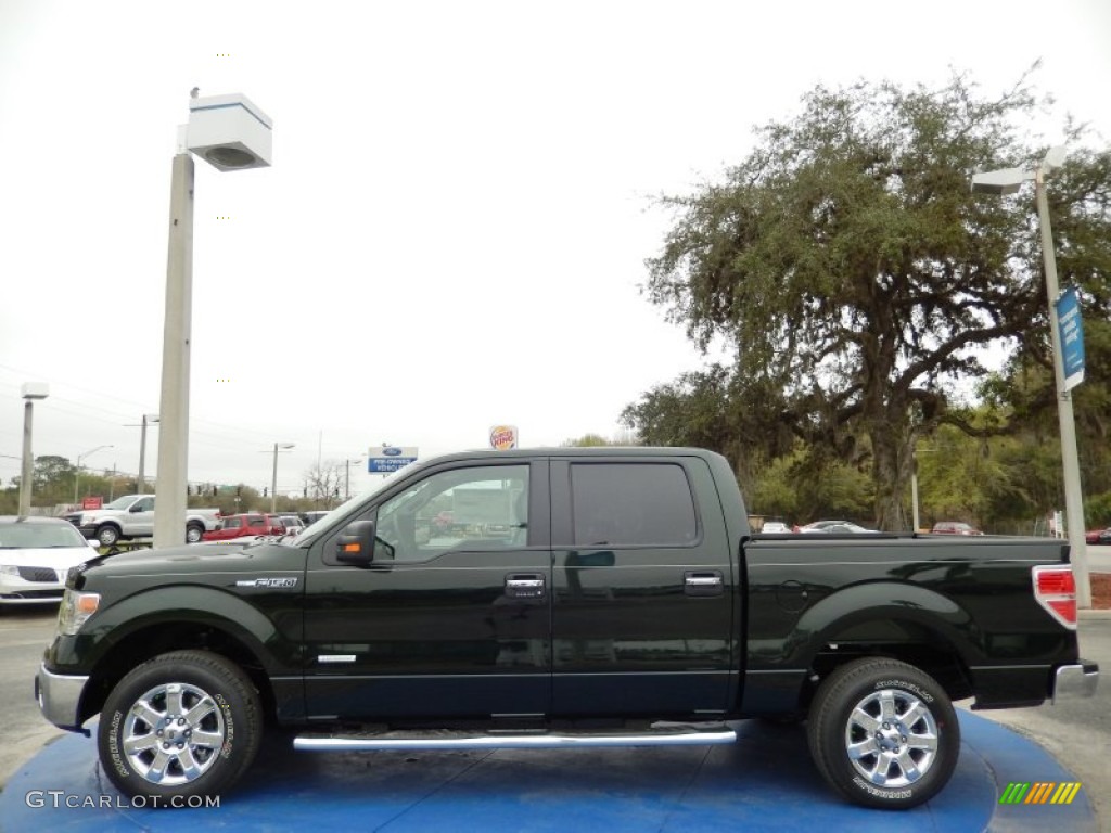 2014 F150 XLT SuperCrew - Green Gem / Steel Grey photo #2