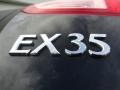 Black Obsidian - EX 35 Journey Photo No. 21