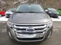 2014 Mineral Gray Ford Edge SEL AWD  photo #6