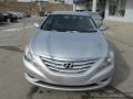 Radiant Silver - Sonata GLS Photo No. 4