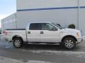 Brilliant Silver Metallic - F150 XLT SuperCrew 4x4 Photo No. 2