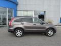 Urban Titanium Metallic - CR-V SE 4WD Photo No. 2