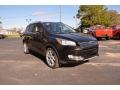 2014 Tuxedo Black Ford Escape Titanium 2.0L EcoBoost  photo #3