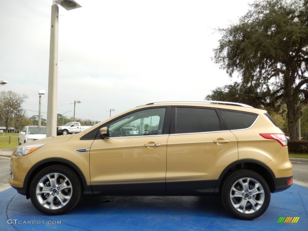 2014 Escape Titanium 2.0L EcoBoost - Karat Gold / Medium Light Stone photo #2