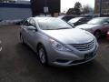 Radiant Silver - Sonata GLS Photo No. 3