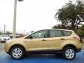 Karat Gold 2014 Ford Escape S Exterior