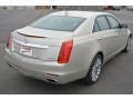 Silver Coast Metallic - CTS Luxury Sedan Photo No. 5