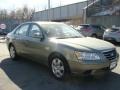 Natural Khaki Green - Sonata GLS Photo No. 3