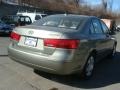 Natural Khaki Green - Sonata GLS Photo No. 4