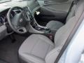 Iridescent Silver Blue Pearl - Sonata GLS Photo No. 6