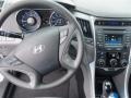 2014 Iridescent Silver Blue Pearl Hyundai Sonata GLS  photo #7