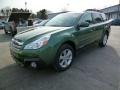 Cypress Green Pearl - Outback 2.5i Premium Photo No. 3