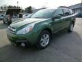 2014 Cypress Green Pearl Subaru Outback 2.5i Premium  photo #3