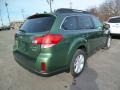 2014 Cypress Green Pearl Subaru Outback 2.5i Premium  photo #7