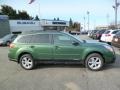 2014 Cypress Green Pearl Subaru Outback 2.5i Premium  photo #8