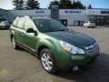 2014 Cypress Green Pearl Subaru Outback 2.5i Premium  photo #1