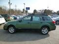 2014 Cypress Green Pearl Subaru Outback 2.5i Premium  photo #4