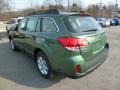 2014 Cypress Green Pearl Subaru Outback 2.5i Premium  photo #5