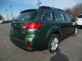 2014 Cypress Green Pearl Subaru Outback 2.5i Premium  photo #7