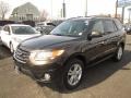Espresso Brown - Santa Fe Limited AWD Photo No. 3