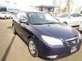 Regatta Blue - Elantra GLS Photo No. 2