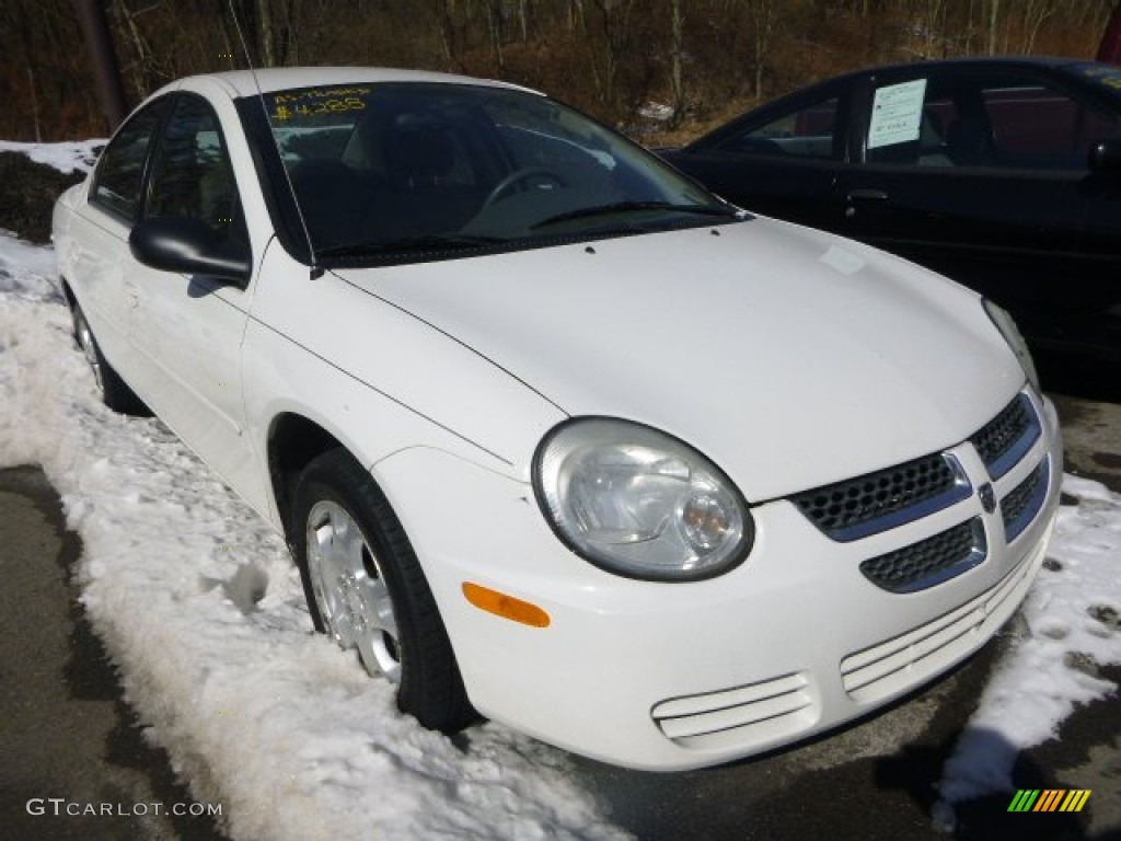 2005 Neon SXT - Stone White / Taupe photo #3