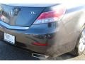 Graphite Luster Metallic - TL 3.5 Photo No. 22