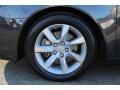 Graphite Luster Metallic - TL 3.5 Photo No. 31