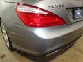 Paladium Silver Metallic - SL 550 Roadster Photo No. 13