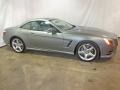 Paladium Silver Metallic - SL 550 Roadster Photo No. 19