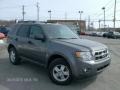 Sterling Gray Metallic - Escape XLT 4WD Photo No. 3