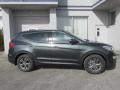 Juniper Green 2014 Hyundai Santa Fe Sport AWD Exterior