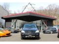 Black - ML 350 4Matic Photo No. 2