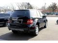 Black - ML 350 4Matic Photo No. 6
