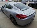 2014 Platinum Silver Metallic Porsche Cayman S  photo #5