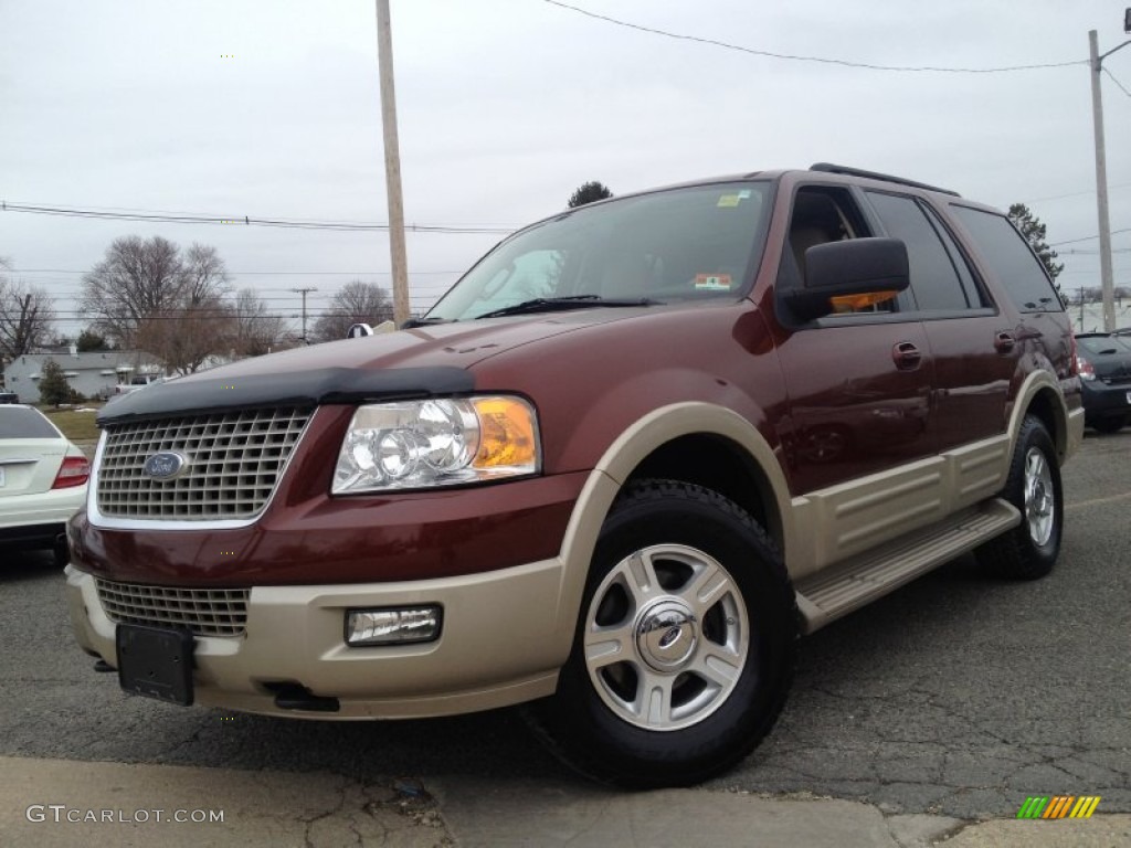 2006 Expedition Eddie Bauer 4x4 - Dark Copper Metallic / Medium Parchment photo #1