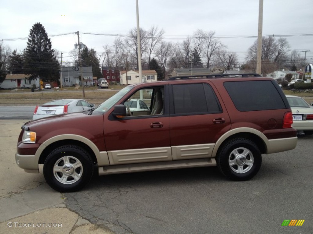 2006 Expedition Eddie Bauer 4x4 - Dark Copper Metallic / Medium Parchment photo #20