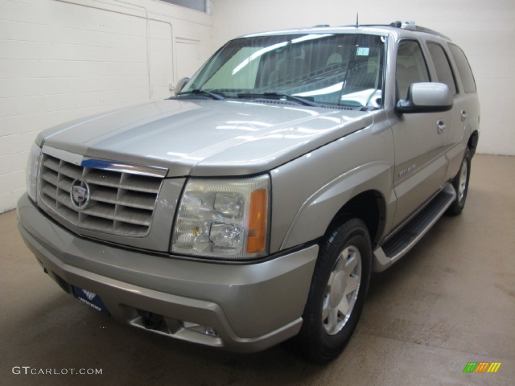 2002 Escalade AWD - Silver Sand / Shale photo #4